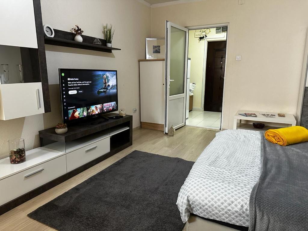 Reeas Apartament Тимишоара Екстериор снимка