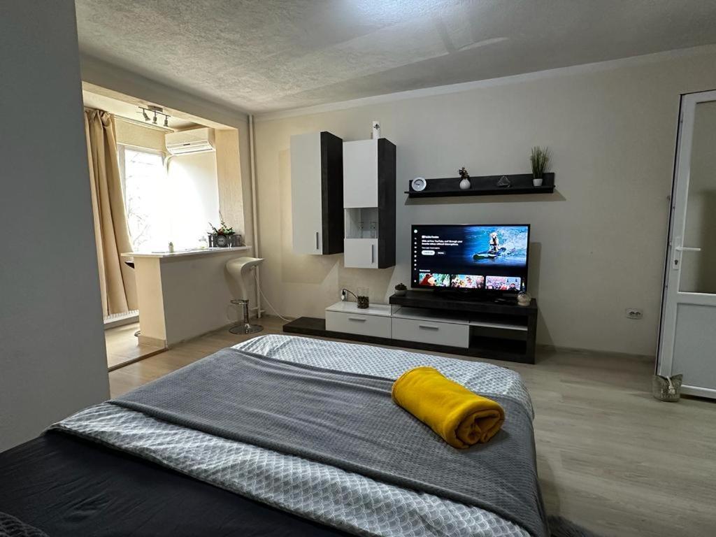 Reeas Apartament Тимишоара Екстериор снимка