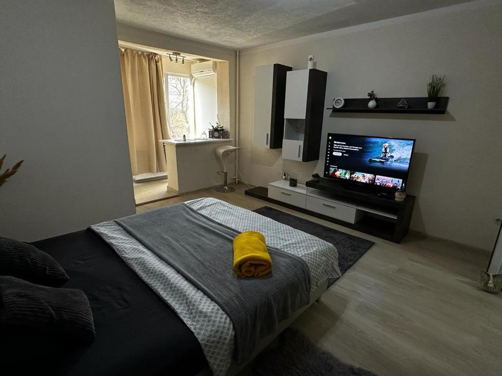 Reeas Apartament Тимишоара Екстериор снимка